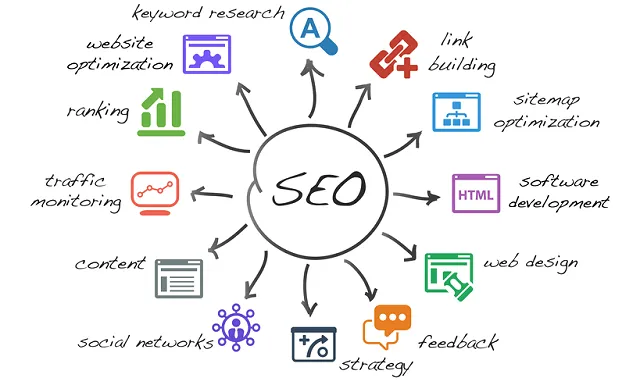 Local SEO ranking for a dog business